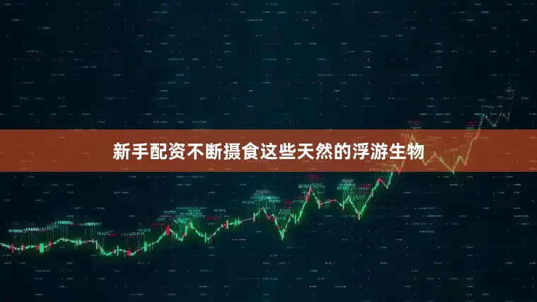 新手配资不断摄食这些天然的浮游生物
