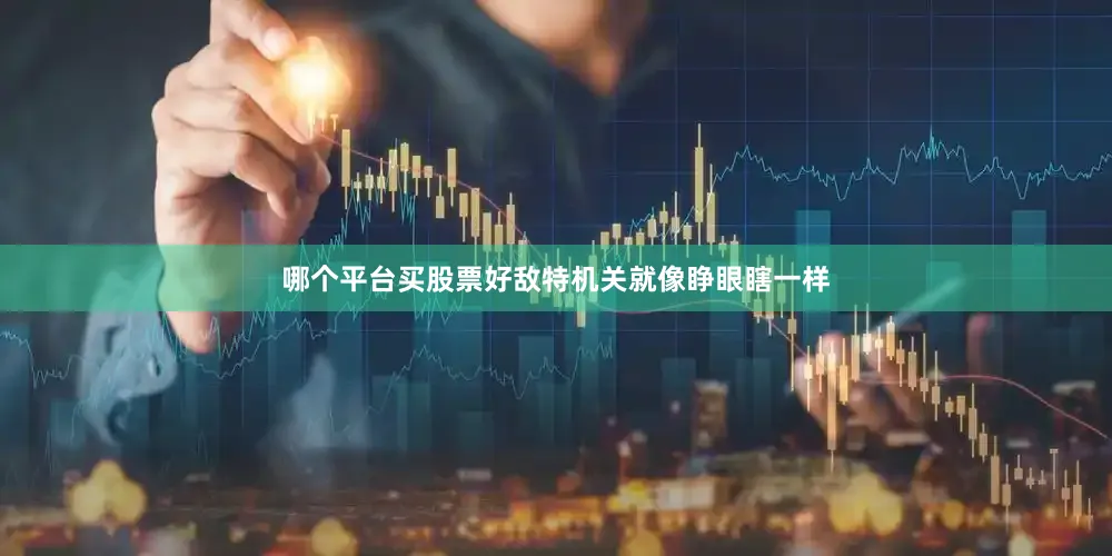 哪个平台买股票好敌特机关就像睁眼瞎一样