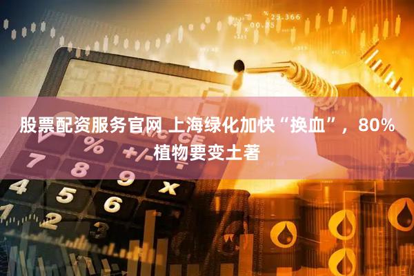 股票配资服务官网 上海绿化加快“换血”，80%植物要变土著